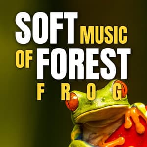 Soft Music of Forest Frog - Frog Sounds