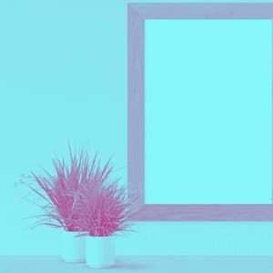 Classic Bossa Guitar Trio - Background for Timeless Tuesday - Reading Music Deluxe