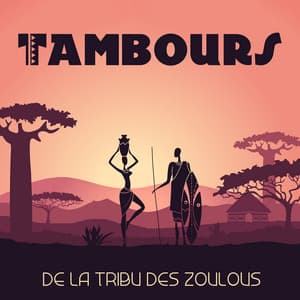 Tambours de la tribu des Zoulous: Méditation africaine relaxante - Zone de Détente