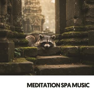 Meditation Spa Music: Harmonies of the Soul - Relajacion