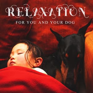 Relaxation for You and Your Dog - Relaxing Evening Music Universe