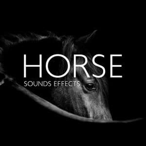 Horse Sounds Effects: Galloping, ASMR Horse Sounds Stress Relief, Race Horse - Sound Effects Music Set
