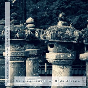 Dancing Leaves Of Bodhidharma - Coralle