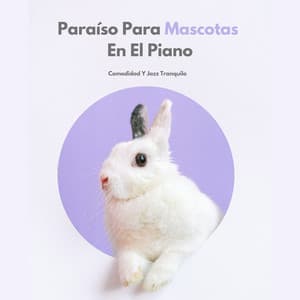 Paraíso Para Mascotas En El Piano: Comodidad Y Jazz Tranquilo - Colección Piano Jazz