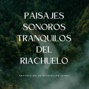 Paisajes Sonoros Tranquilos Del Riachuelo: Ensoñación De Relajación - Rios y corrientes