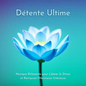 Détente Ultime: Musique Relaxante pour Libérer le Stress et Retrouver l'Harmonie Intérieure - Concentration Memoire
