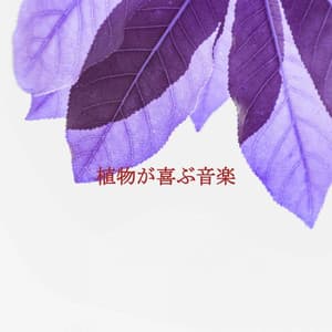 植物が喜ぶ音楽 - Chill Jazz
