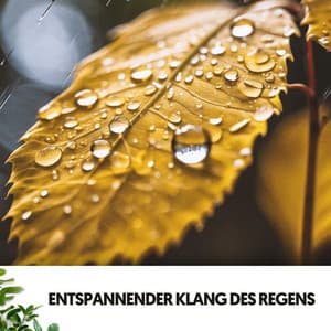 Lern- & Arbeitsmusik: Eine Symphonie der Gelassenheit - Ruido Blanco Hart