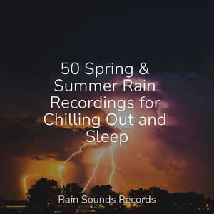 50 Spring & Summer Rain Recordings for Chilling Out and Sleep - Relajacion Del Mar