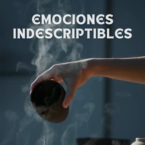 Emociones Indescriptibles - Zona de Música Sexual