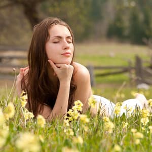 Ephemeral Beauty: Nature's Serene Transcendental Prelude - Solitude Beats