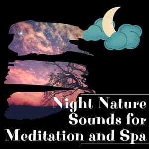 Night Nature Sounds for Meditation and Spa - Night Sounds Channel