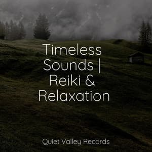 Timeless Sounds | Reiki & Relaxation - Bedtime Baby