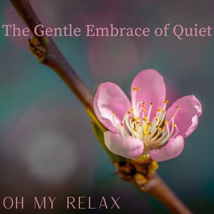 The Gentle Embrace of Quiet - Oh My Relax