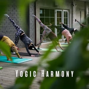 Yogic Harmony: Meditation Music for Yoga Practice - Matter and Energy