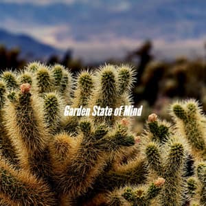 Garden State of Mind - Speakeasy Jazz Playlist