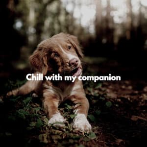 Chill with my companion - Indie Coffeehouse Music Lounge