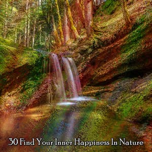30 Find Your Inner Happiness In Nature - Sleep Songs with Nature Sounds