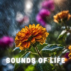 Sounds of Life - Chill Background Music for Relaxation