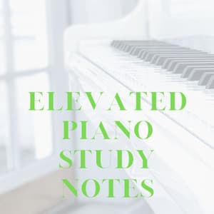 Elevated Piano Study Notes - Little Piano Player