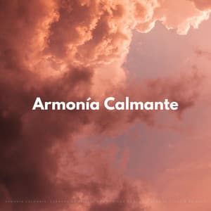 Armonía Calmante: Cuencos De Cristal Con Sonidos De Lluvia Para La Terapia De Gato - Mente de paz