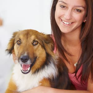 Serenading Paws: Harmonic White Noise Chill Sound for Pets - Happy Sunday Morning Music