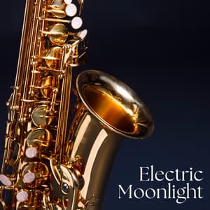 Electric Moonlight - French Piano Jazz Music Oasis