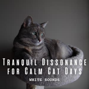 White Noise: Tranquil Dissonance for Calm Cat Days - Official White Noise Collection