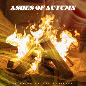 Ashes of Autumn - Relaxing Nature Ambience