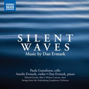 Silent Waves - Dan Evmark