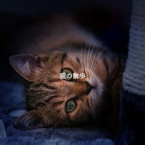 猫の散歩 - Restaurant Jazz Klassiker