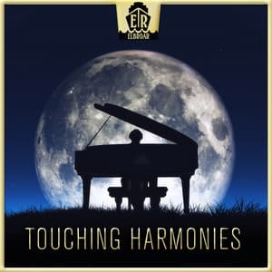 Touching Harmonies - Amit Weiner
