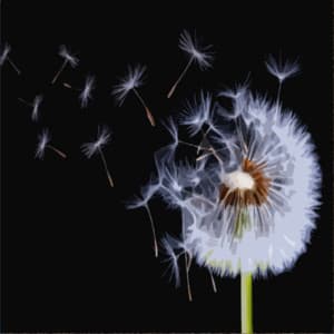 The Wind and the Rain - Goodnight Sleep Sounds