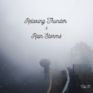 Relaxing Thunder and Rain Storms Vol.15 - Lightning, Thunder and Rain Storm