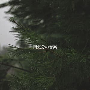 雨気分の音楽 - Light Dinner Music