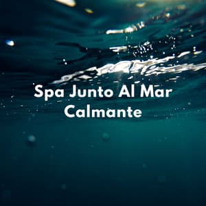 Tranquilidad Costera: Spa Junto Al Mar Calmante - Reina del Mar