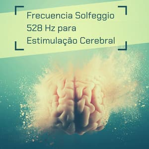 Frecuencia Solfeggio 528 Hz para Estimulação Cerebral - Letícia com Frequências