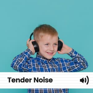 Tender Noise - The Background Noise Company