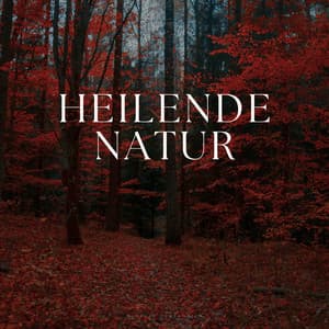 Heilende Natur - Geräusche der Natur