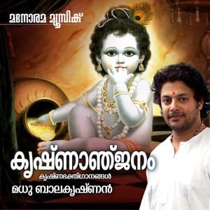 Krishnanjanam - Madhu Balakrishnan