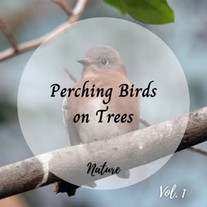 Nature: Perching Birds on Trees Vol. 1 - Natures Acoustics