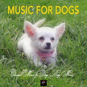 Music for Dogs - Classical Music for Dogs, Dogs Music - Music for Dogs Collective