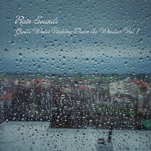 Rain Sounds: Gentle Water Trickling Down the Window Vol. 1 - Sleeping Ocean