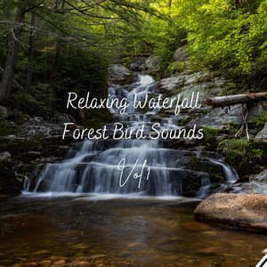 Relaxing Waterfall Forest Bird Sounds Vol. 1 - Music For Cats