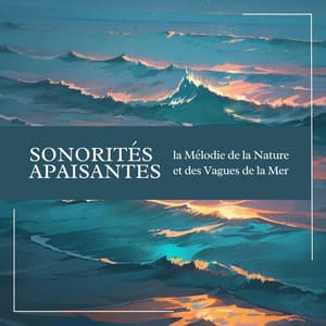 Sonorités Apaisantes: la Mélodie de la Nature et des Vagues de la Mer - Chakras Yoga Spécialistes