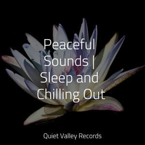 Peaceful Sounds | Sleep and Chilling Out - Schlaflieder Für Kinder