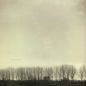 Winter Flakes - Brenky