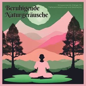 Beruhigende Naturgeräusche: Entspannende Klänge für Tiefenentspannung und Meditation - Schlafen Akademie