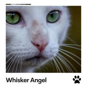 Whisker Angel - Music for Cats Peace