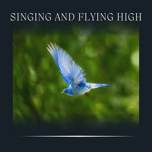 Singing and Flying High - Naturalis